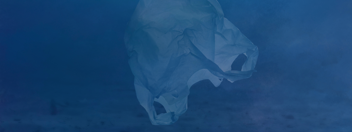 A faded white plastic bag floats in blue water.